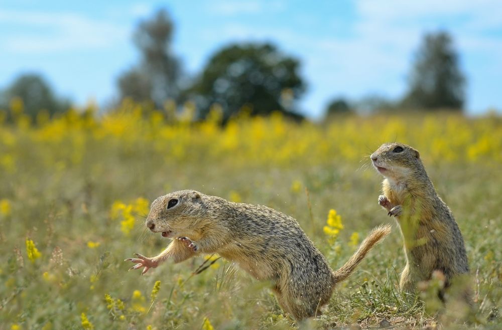 Photograph by Kveta Novotna