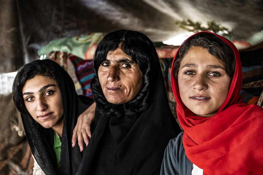 Фотография автора Mahshad Razavi