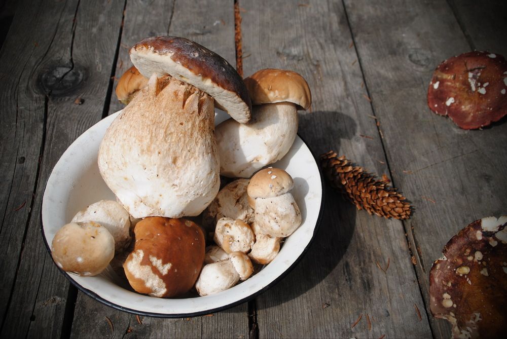 Photograph by Инна Сечко