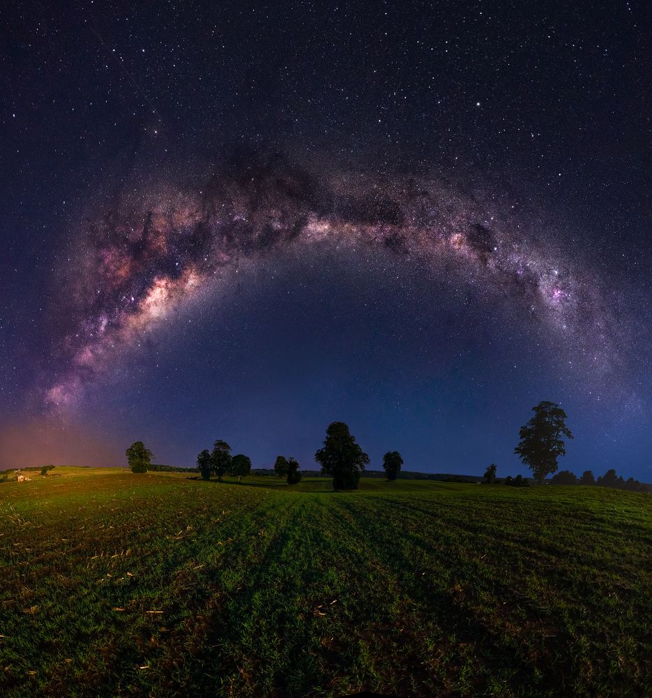 Photograph by Tomas Andonie