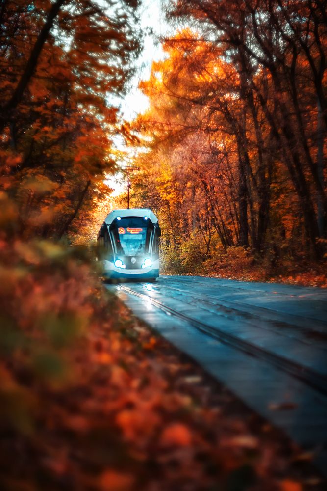 Photograph by Ксения Базарова