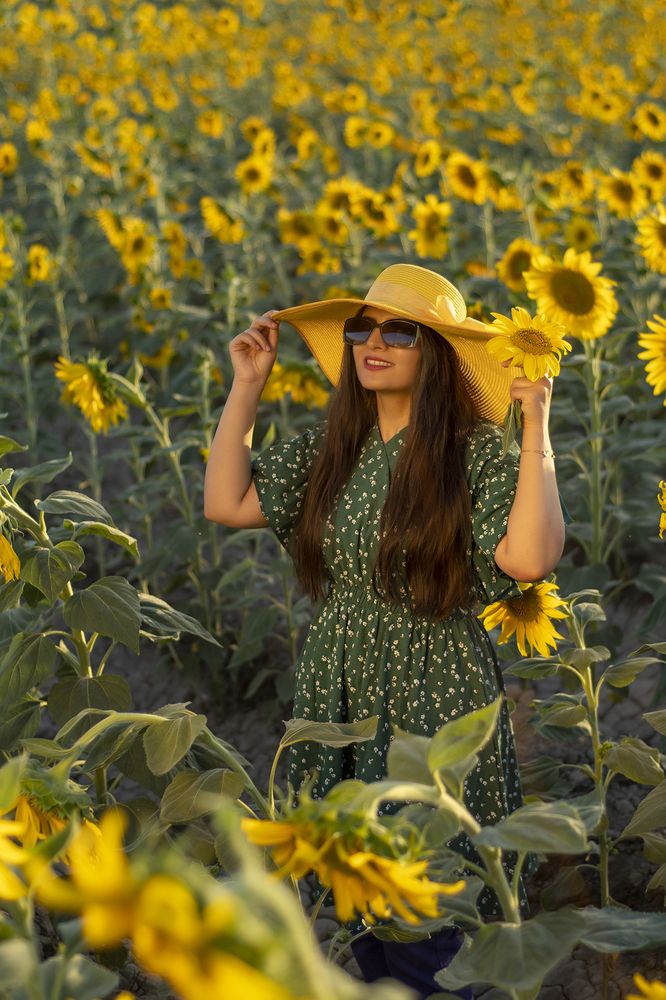 Фотография автора Mahshad Razavi