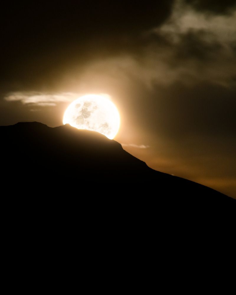 Photograph by Tomas Andonie