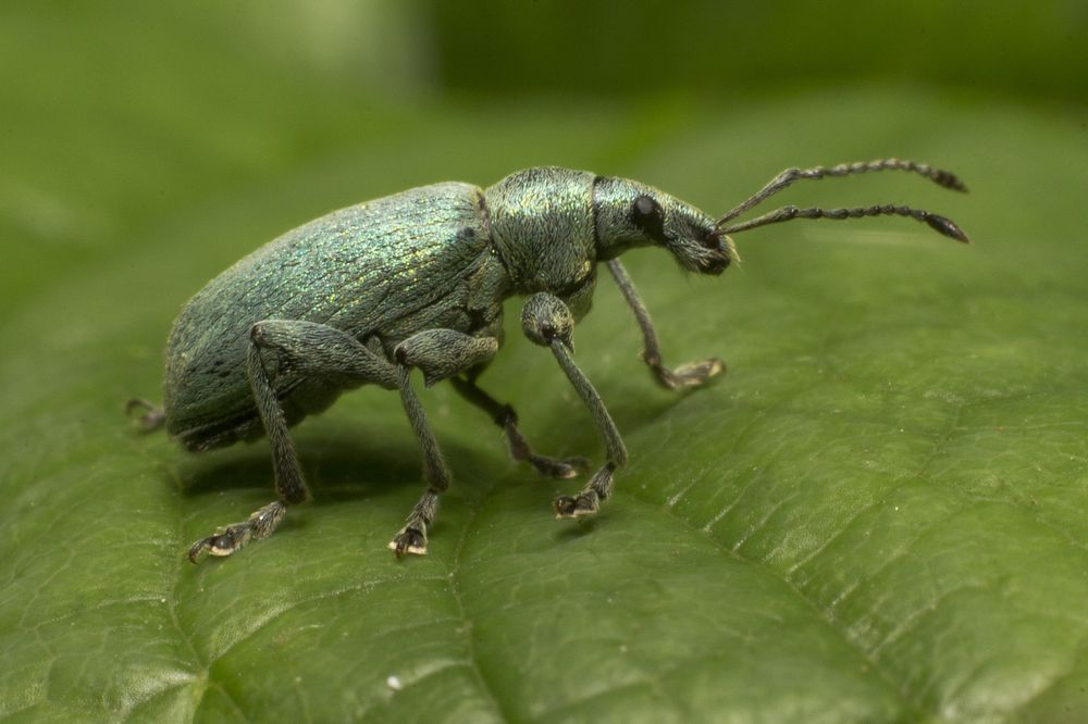 Фотография автора Марина Кулакова