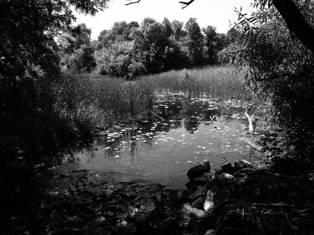 Photograph by Игорь Шевердин