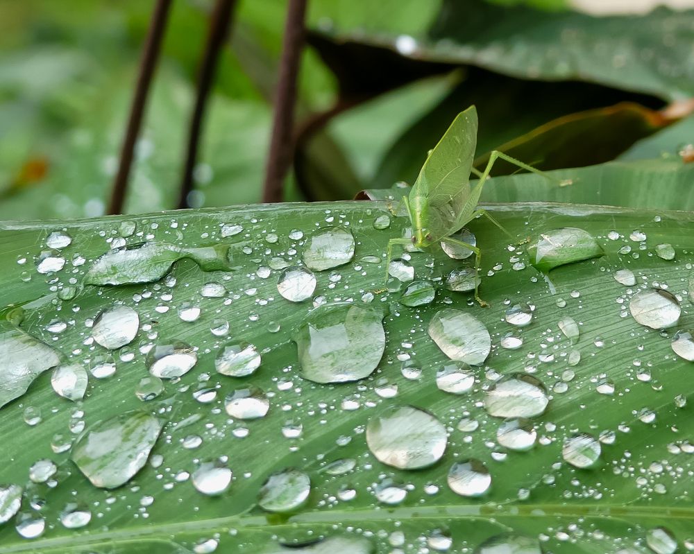 Photograph by Lucía Ruiz