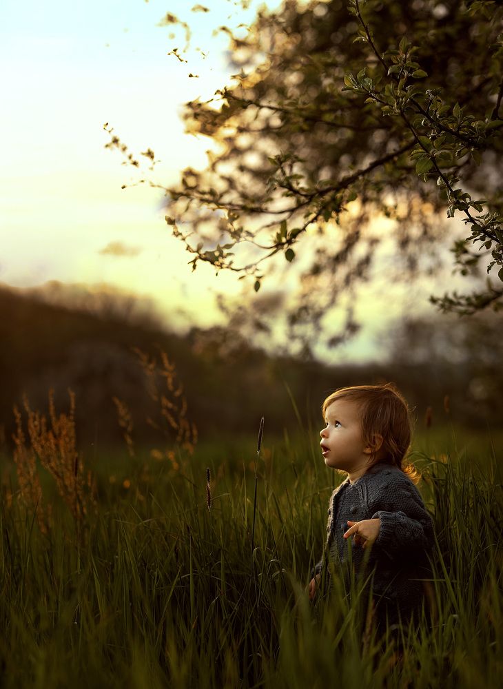 Фотография автора Anna König