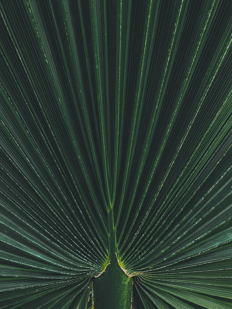 Photograph by Jana Smirnova