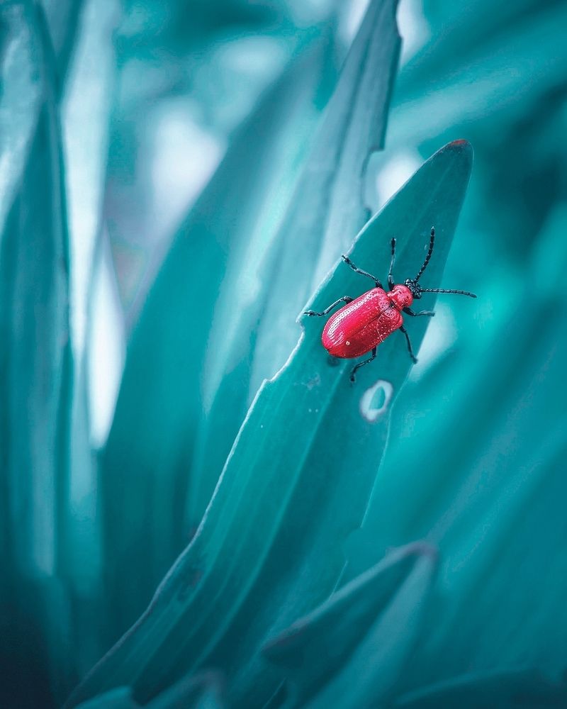 Photograph by Алексей