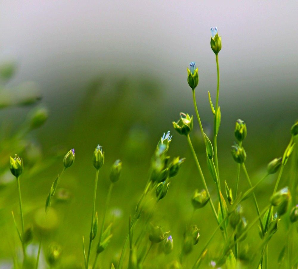 Photograph by Дмитрий Селицкий