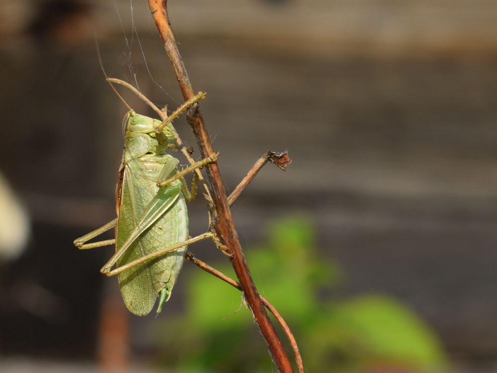 Photograph by Елена