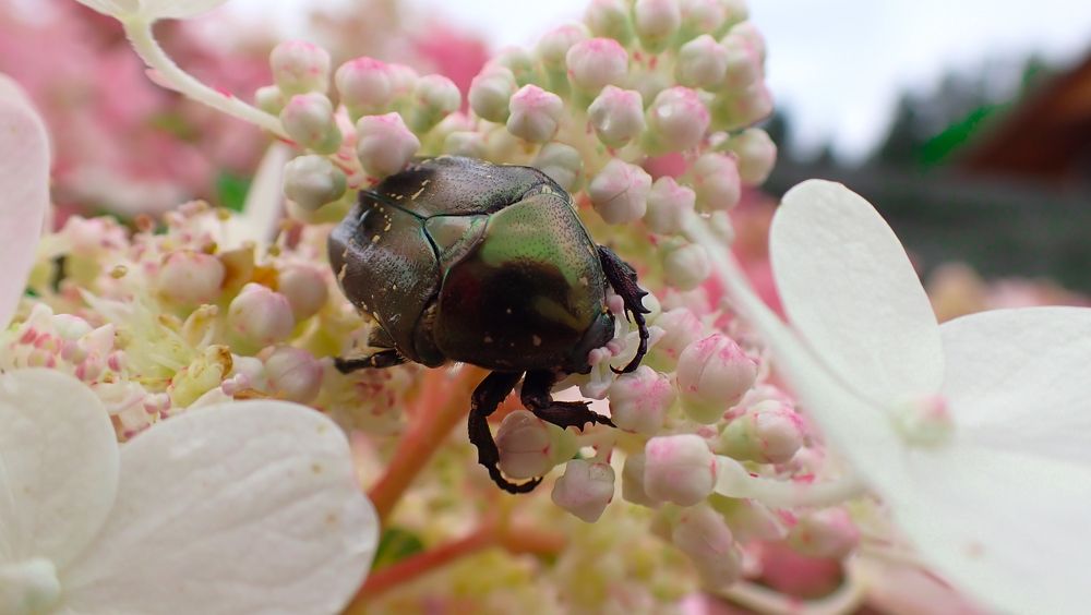 Photograph by Филиппов Олег