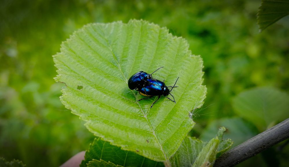 Photograph by Филиппов Олег