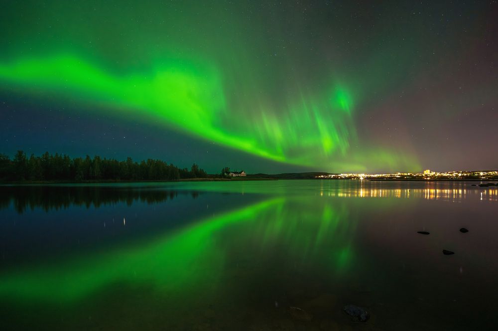 Photograph by Piotr Mickevic