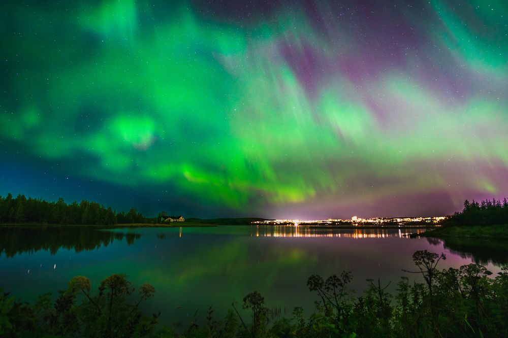 Photograph by Piotr Mickevic