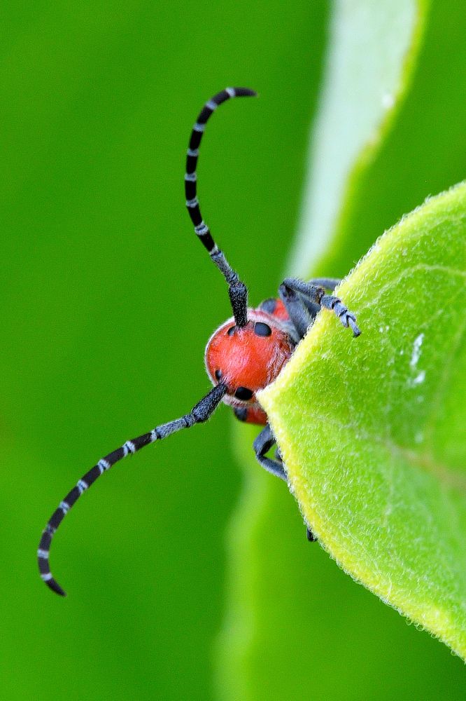 Photograph by eric keller