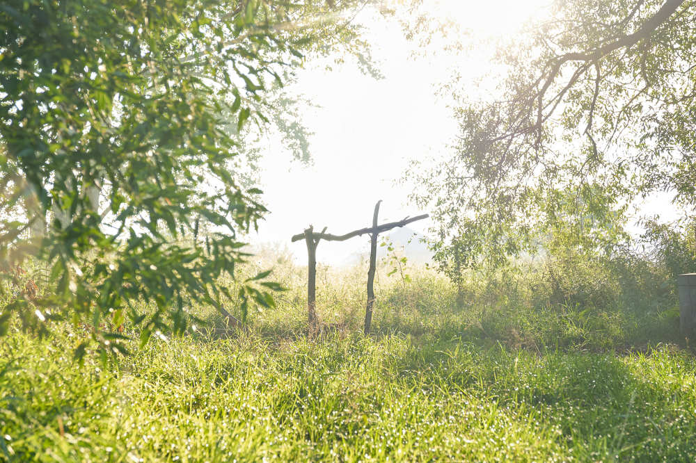 Фотография автора Лидия Филатова