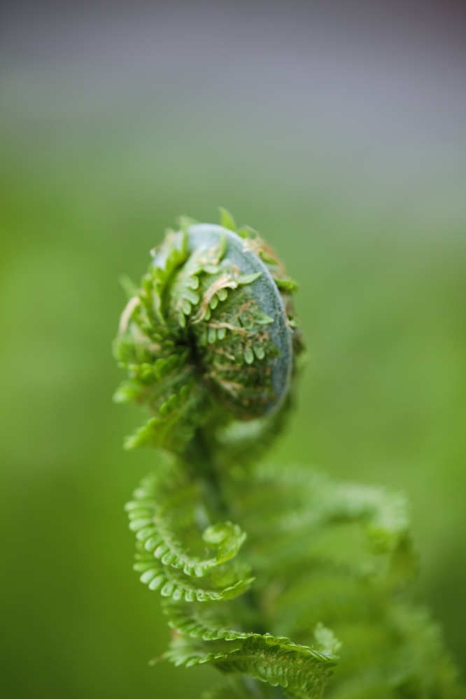 Фотография автора Лидия Филатова