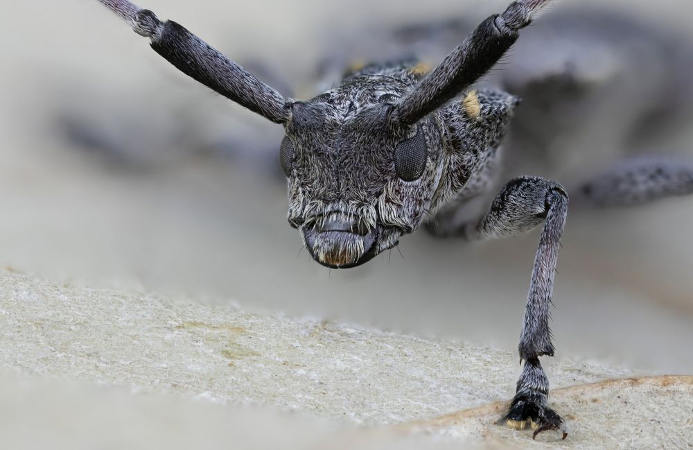 Photograph by Сергей Романченко