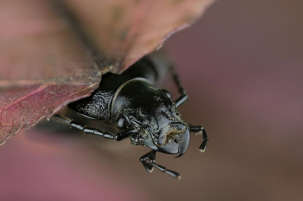 Photograph by Сергей Романченко