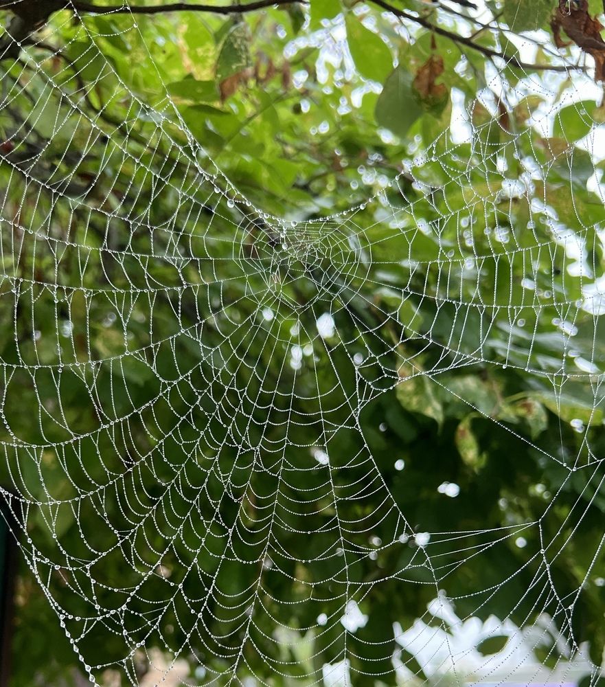 Photograph by Елена Мизина