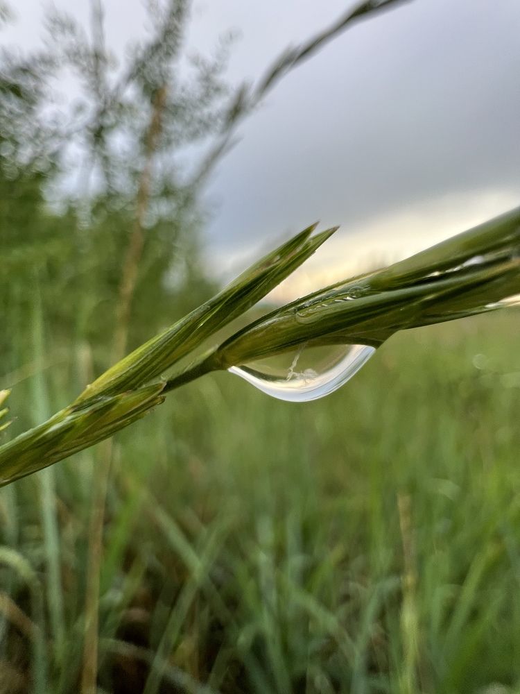 Photograph by Елена Мизина