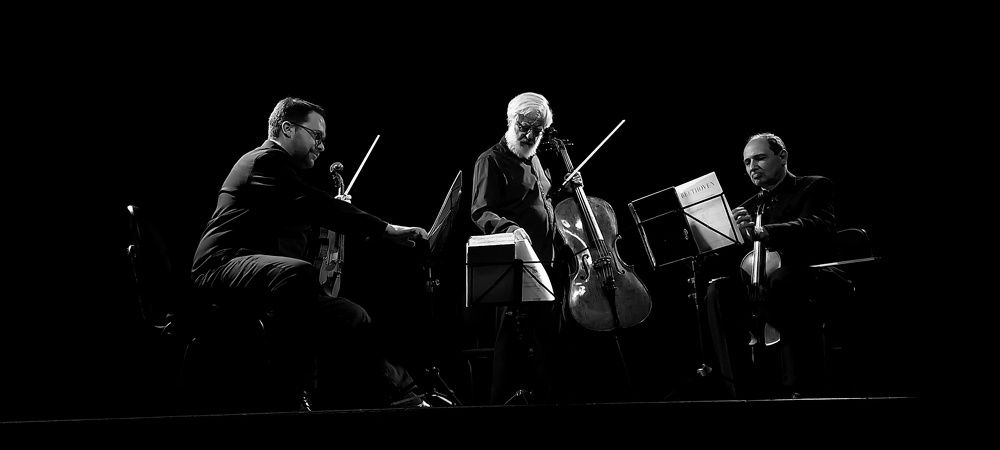 Photograph by Marcia Araujo