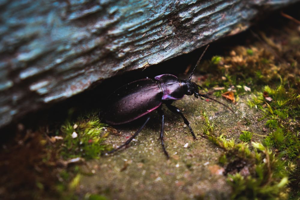 Photograph by Дмитрий Фадеев