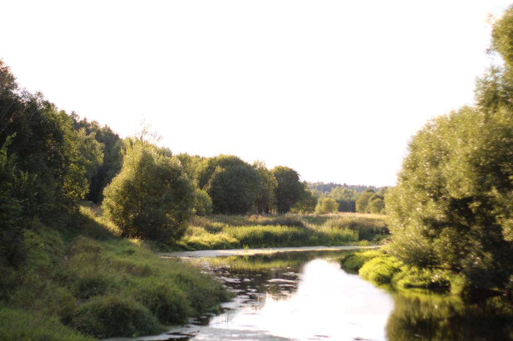 Photograph by Анастасия Липаткина