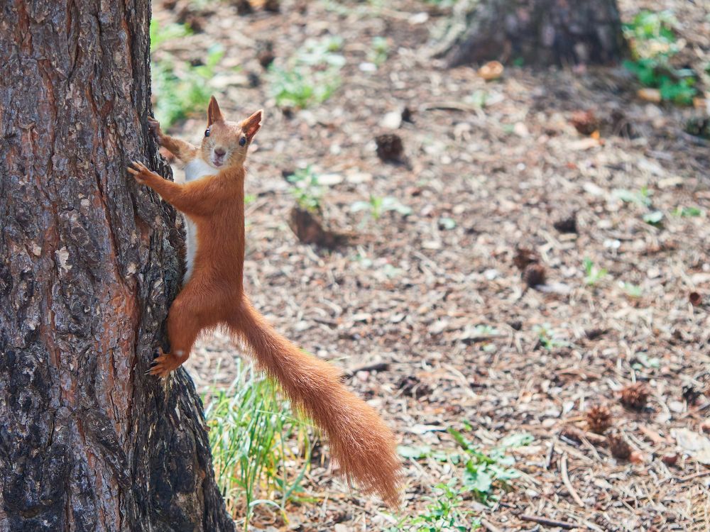 Photograph by Vyacheslav Bashirov