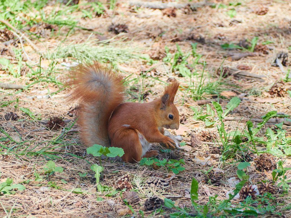 Photograph by Vyacheslav Bashirov