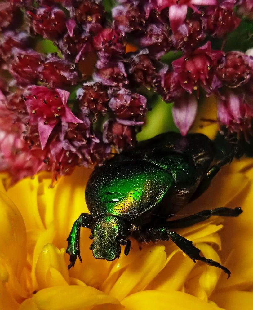 Photograph by Евсеева Валентина