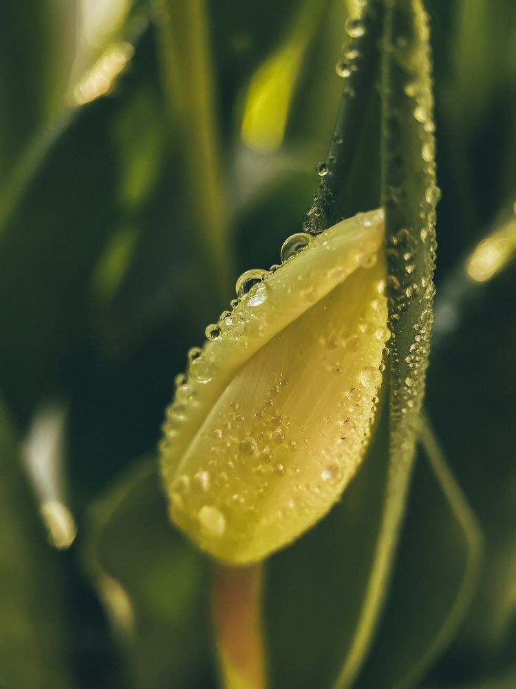 Photograph by Наталья Мальцева