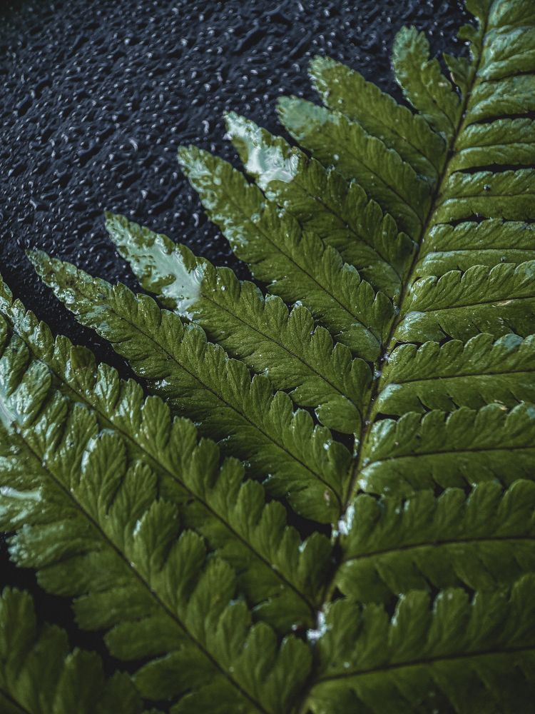 Photograph by Наталья Мальцева