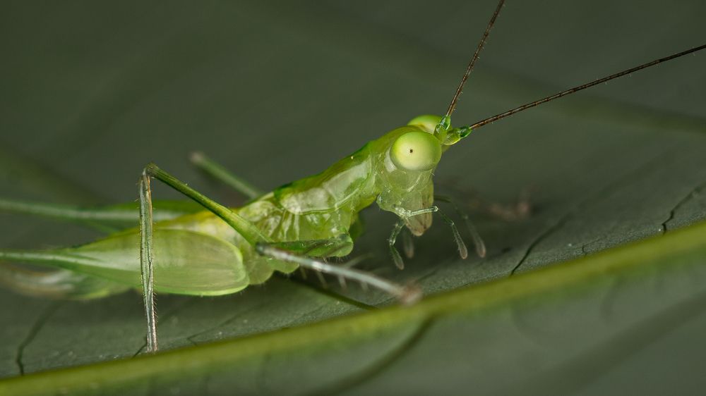 Photograph by Lucas Oh