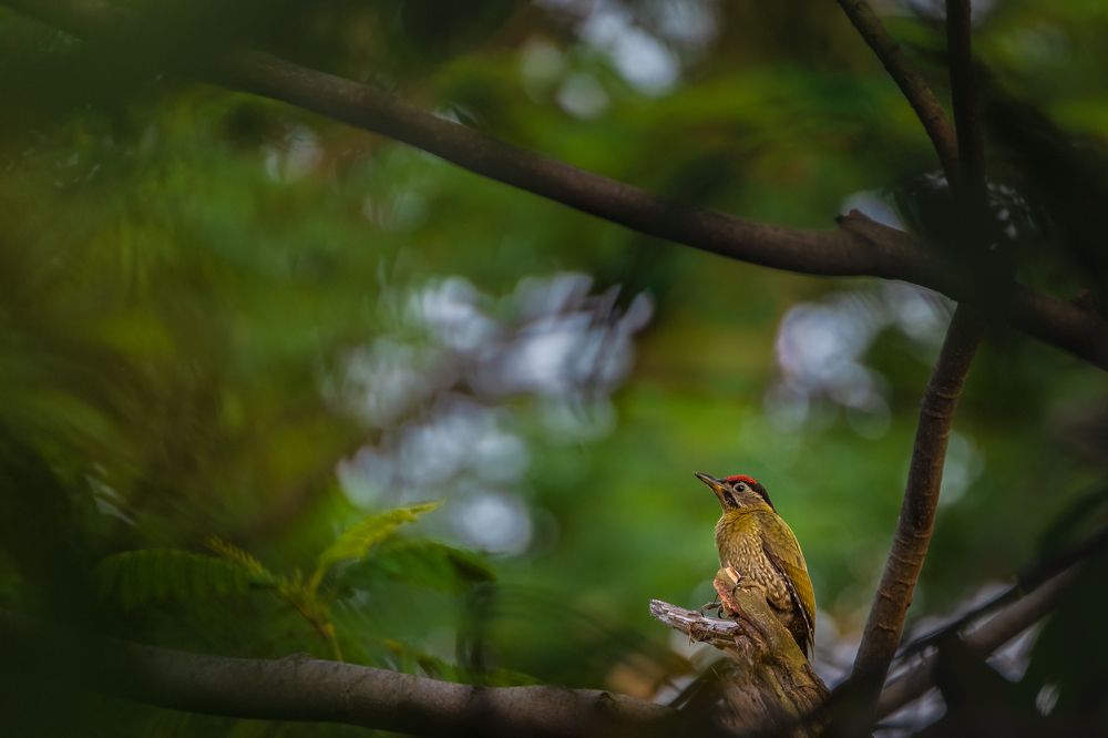 Photograph by Lucas Oh