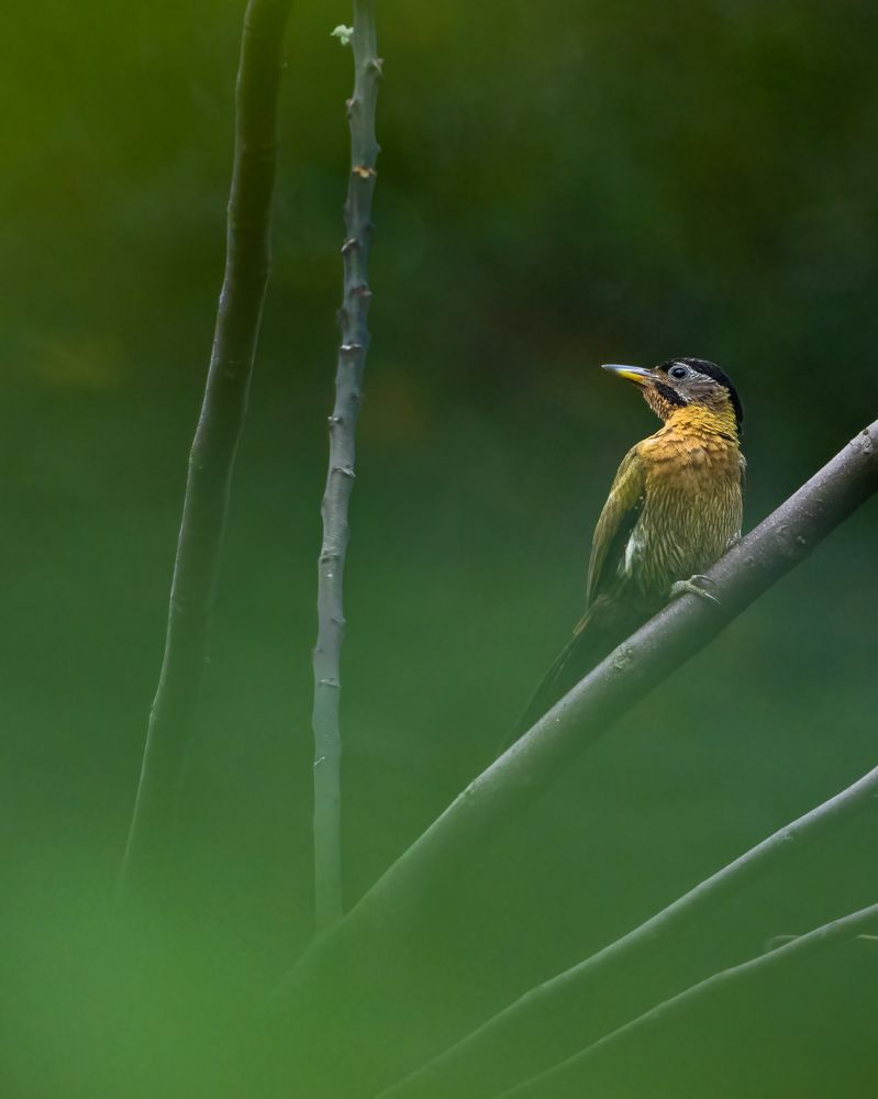 Photograph by Lucas Oh