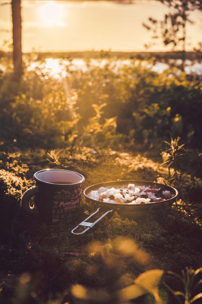 Фотография автора Алексей Новиков