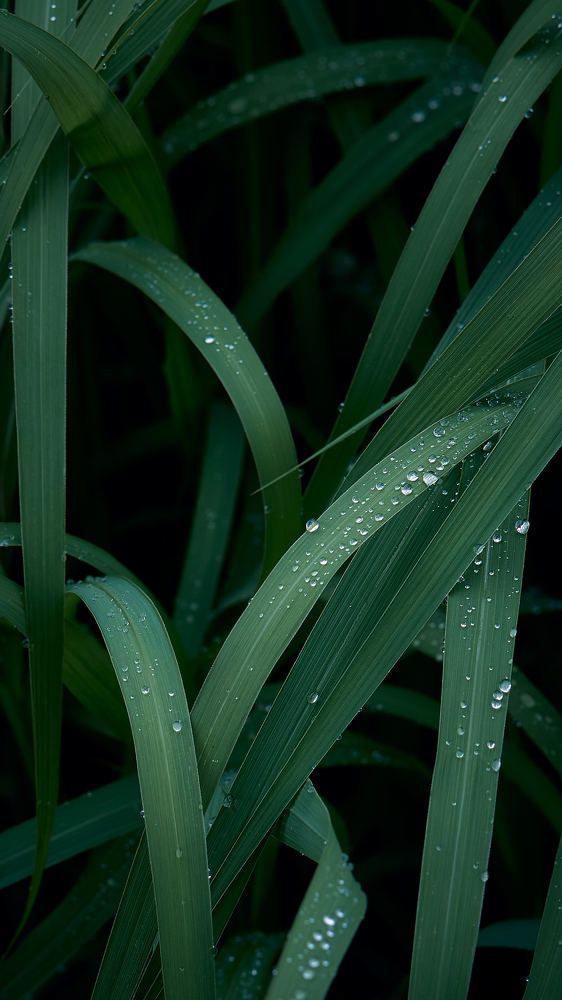 Photograph by Евгений Имамутдинов