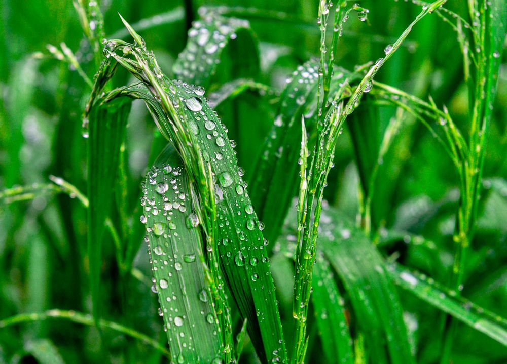 Photograph by Стас Неклюдов