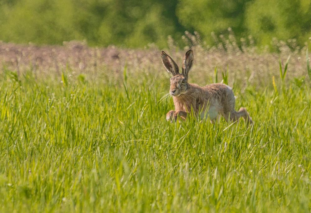 Фотография автора Екатерина Счасная