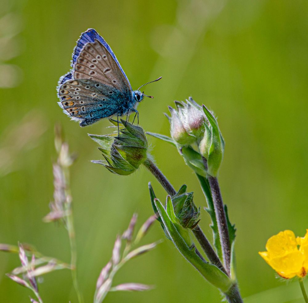 Фотография автора Екатерина Счасная