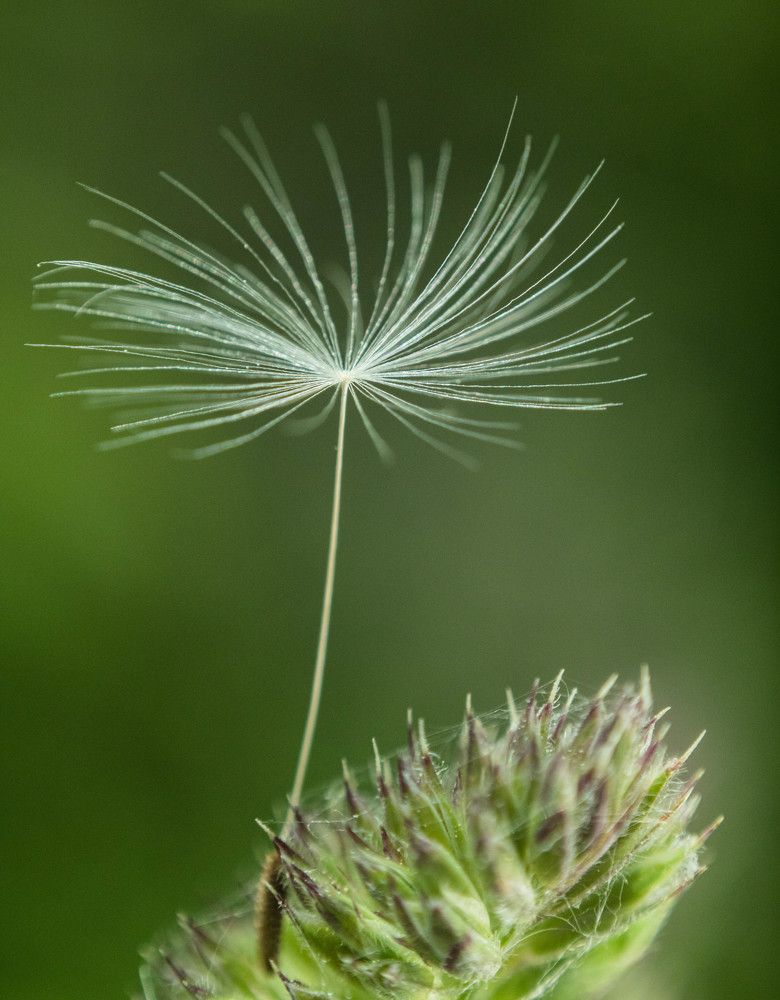 Фотография автора Екатерина Счасная