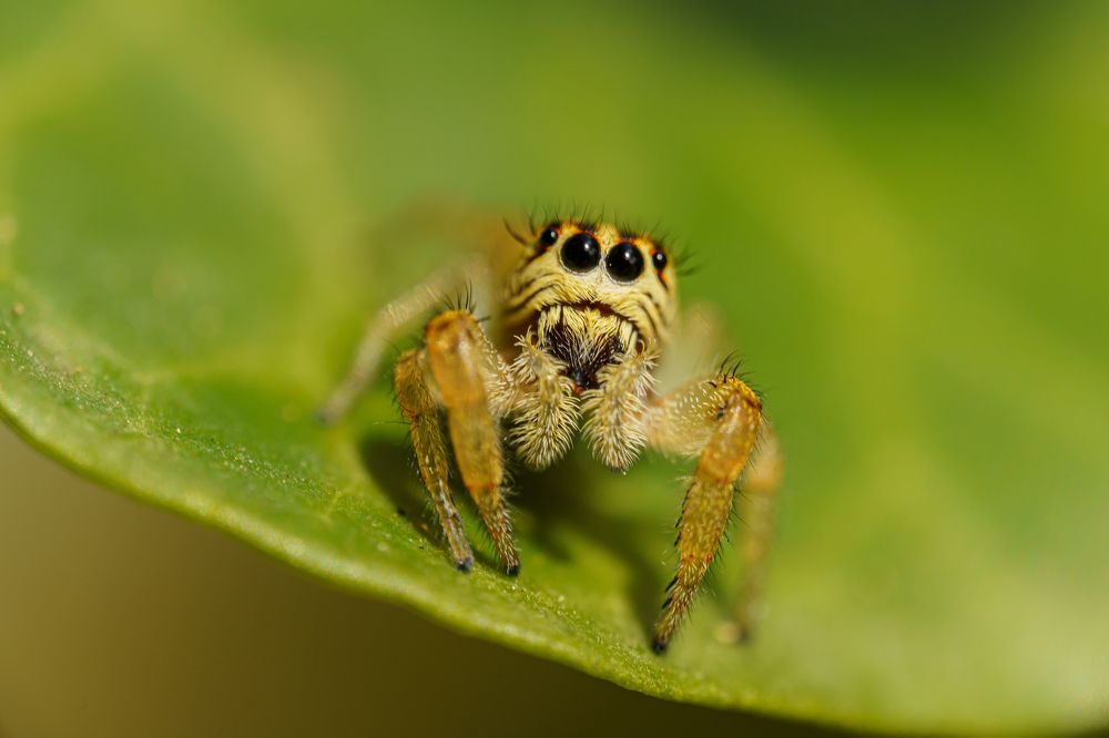 Photograph by Антон Литвинцев