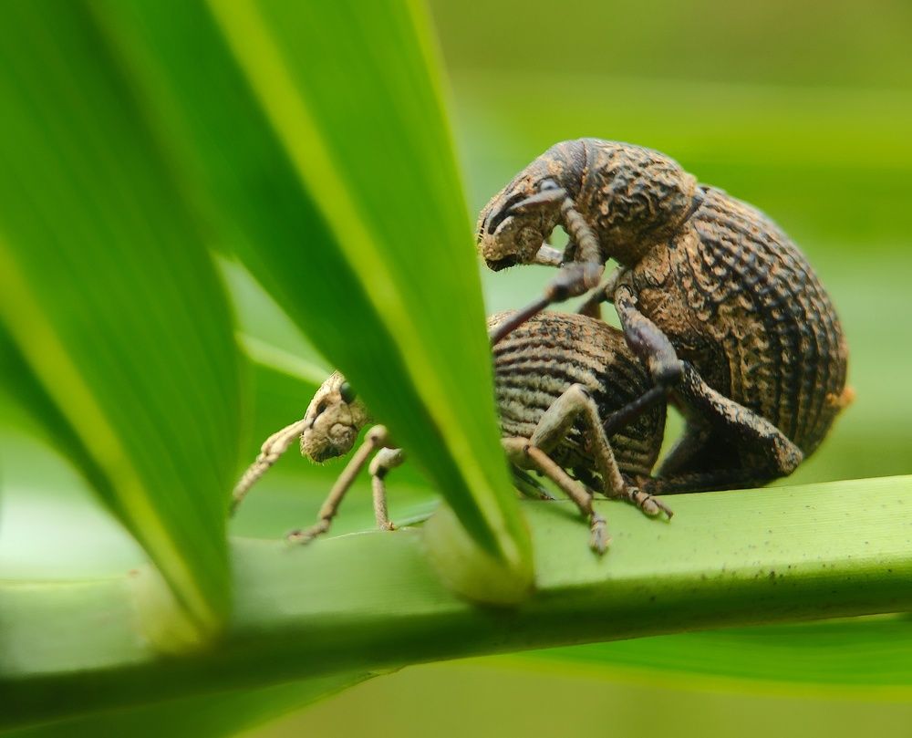 Photograph by Arijit Mahata