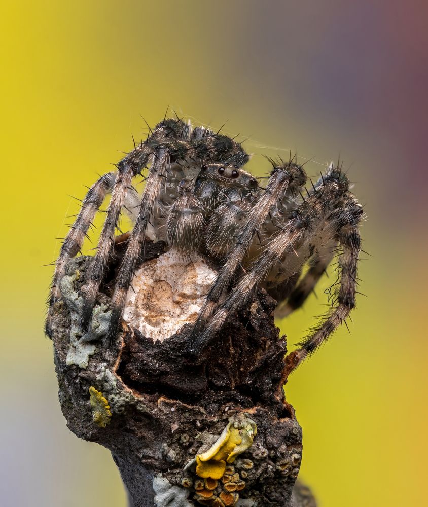 Photograph by Глеб Коровко