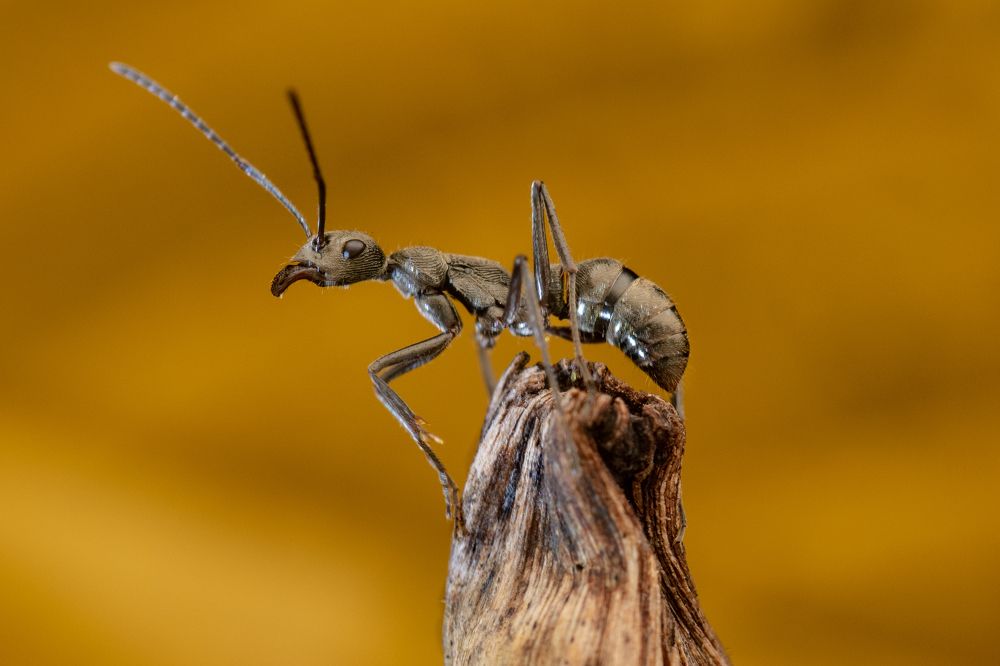 Photograph by Nicholas Ng