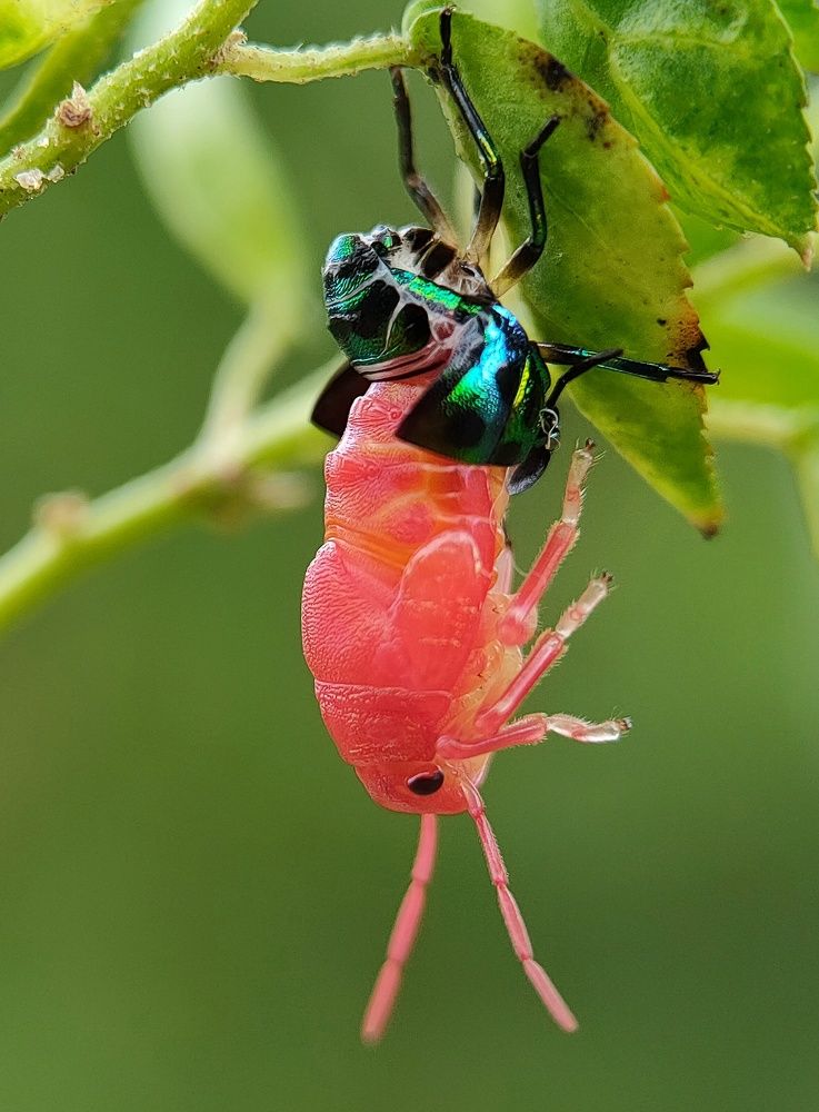 Photograph by Arijit Mahata