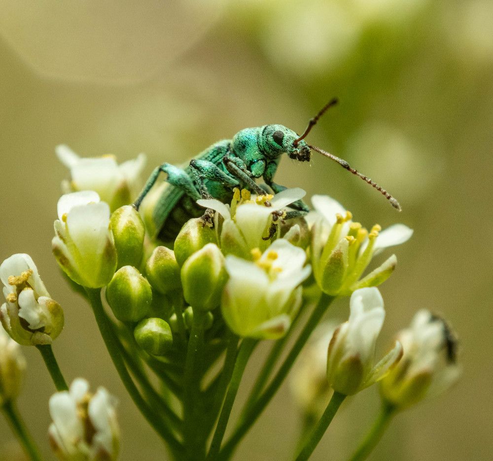 Фотография автора Екатерина Счасная