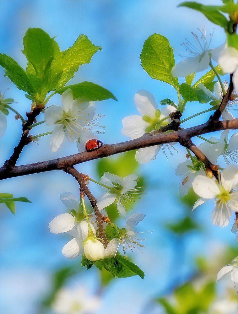 Photograph by Margarita